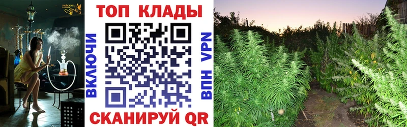 Альфа ПВП Мариинск