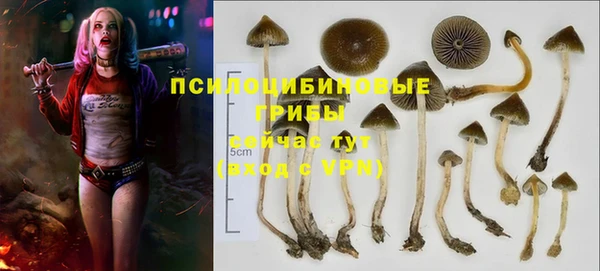 трава Михайловка