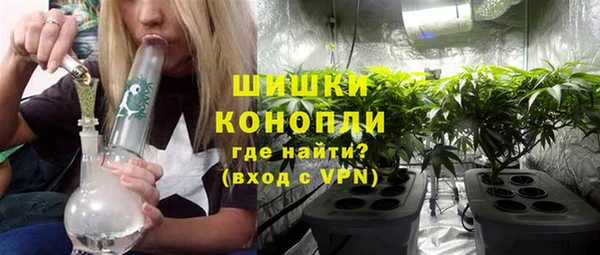 стафф Михайловск