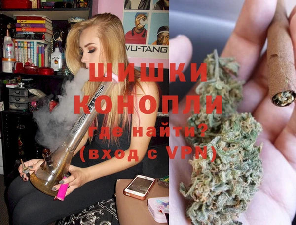 стафф Михайловск