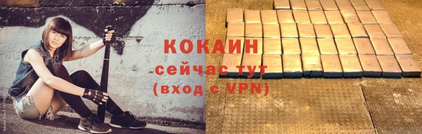 стафф Михайловск