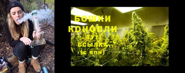 стафф Михайловск