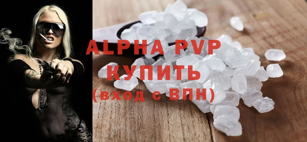 стафф Михайловск