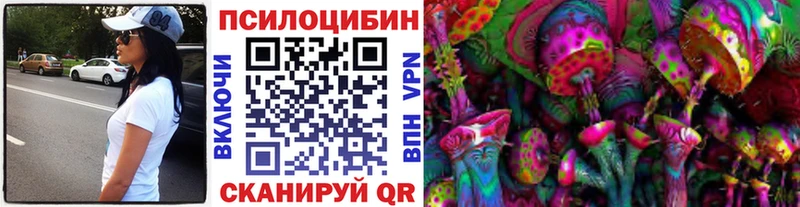 Галлюциногенные грибы Psilocybe  Купить закладки  Мариинск 